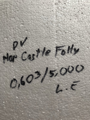 Hop Castle Folly #603 of 5,600